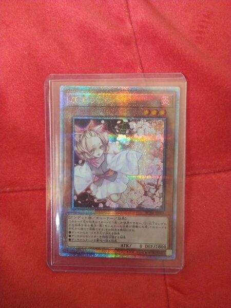 遊戯王 灰流うらら 25th プリシク