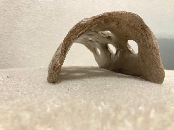 熱帯魚 アクアリウム シェルター