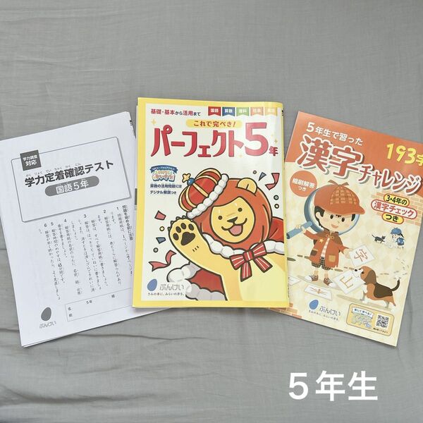 小学5年生 パーフェクト5年 算数 国語 理科 社会 英語 総復習 テスト付き