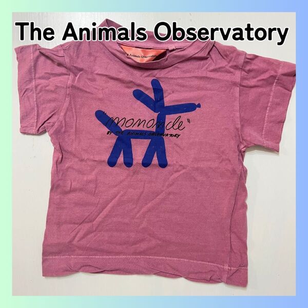 The Animals Observatory ジ・アニマルズ・オブザーバトリー ベビー 子供 Tシャツ 犬 パープル 98cm