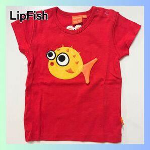 新品 LipFish リップフィッシュ Tシャツ ふぐ レッド 80cm blowfish