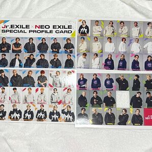 junon【Jr.EXILE+NEO EXILE】プロフィールシート