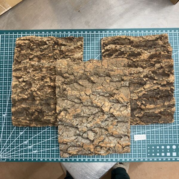 コルク樹皮 バージンコルク セット 天然 爬虫類 シェルター 活着 着生 ワラジムシ ダンゴムシ 隠れ家33