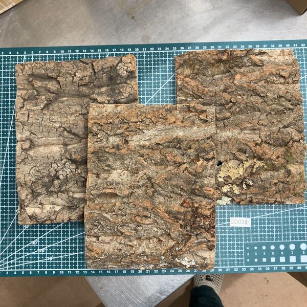 コルク樹皮 バージンコルク セット 天然 爬虫類 シェルター 活着 着生 ワラジムシ ダンゴムシ 隠れ家34