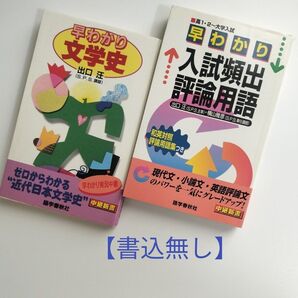 【書込無し2冊セット】早わかり文学史 &早わかり入試頻出評論用語(中継新書) 出口汪/著