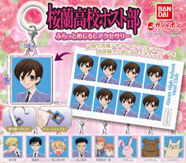 アニメ 桜蘭高校ホスト部 ふらっとめじるしアクセサリー 全9種 コンプリートセット バンダイ ガシャポン ガチャ