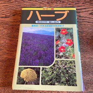 ハーブ 見分け方 楽しみ方