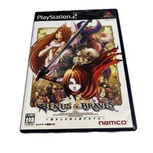PS2 ディーナス&ブレイブス ~魔女と女神と滅びの予言~