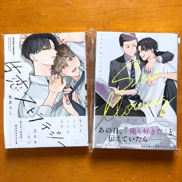 片恋ストラテジー 秋良ろじ スローモーニング カジス 新品未読 初版