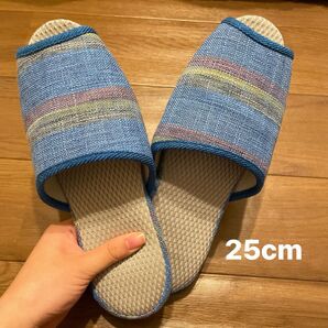 スリッパ 高校生 25cm 上履き 運動靴 jk 体育館シューズ