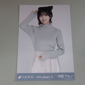 乃木坂46 中西アルノ 2025.January-Ⅱ猫耳ニット帽