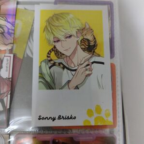 にじさんじ EN サニーブリスコー