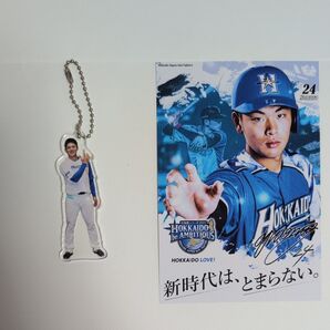 北海道日本ハムファイターズ 野村佑希 アクキー
