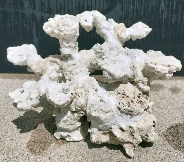 1点物 本物 ライブロック 職人手作り 海水魚 サンゴ 背景 レイアウト デスロック フィギュア ラック
