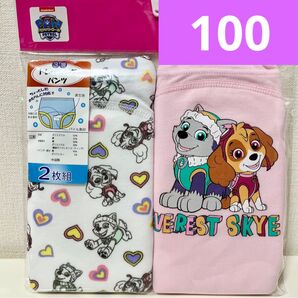 新品 トレーニングパンツ 100 パウパトロール スカイ&エベレスト2枚組