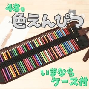 色鉛筆 水彩色鉛筆 おえかき お絵描き ぬりえ キッズ 知育玩具 プレゼント 大人 趣味
