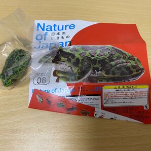 Nature of Japan 日本のいきもの vol.1 モリアオガエル 単品