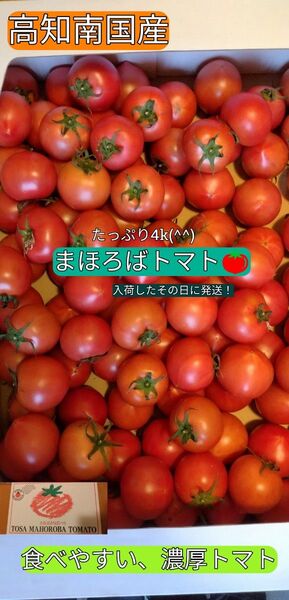 高知南国産 まほろばトマト たっぷり4k (^^) 嬉しい送料込み(^o^) お買い得トマト
