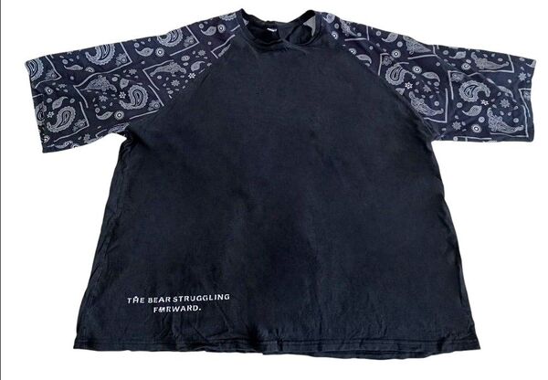 5XL 大きいサイズ 半袖 Tシャツ ペイズリー柄