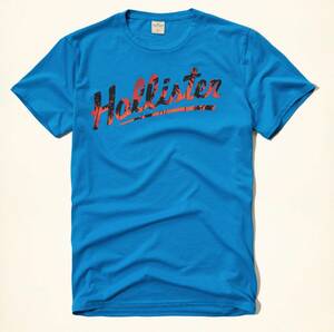 HOLLISTER ホリスター men's 半袖 Ｔシャツ サイズＳ 　Vintage Hollisterウォッシュ　ロゴ　プリントロゴ グラフィック