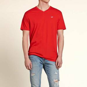 HOLLISTER ホリスター メンズ VネックＴシャツ サイズM　Vintage Hollisterウォッシュ　クラシックフィット