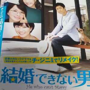 韓国ドラマ 結婚できない男 全巻セット レンタル落ち チ・ジニ オム・ジョンファ