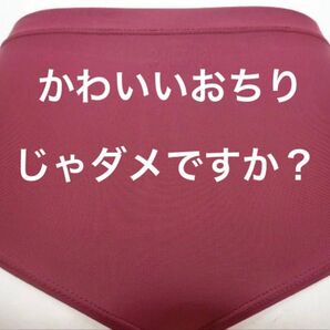 値下 ブルマ サイズLL 学生ブルマ ナイロンブルマ 激レア 股巾細 学販ブルマ 陸上ブルマ ツルツル神尻 入学式 jk