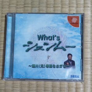 シェンムー体験版