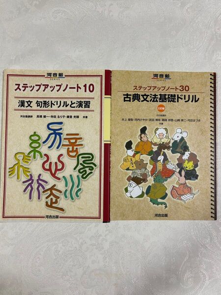 河合塾 ステップアップノート古文漢文2冊セット