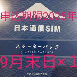 日本通信SIM スターターパック 日本通信 NT-ST2-P (67-7655-50) 1枚