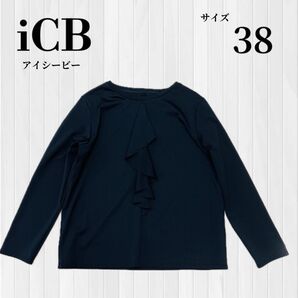icb アイシービー 洗える シャイニースムース ドレープフリルカットソー 黒 ブラック