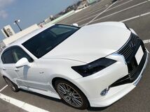 Tint+カット済みヘッドライト スモークフィルム GS250/GS350/GS450h/GS300h GRL10系/AWL10/GWL10 前期 用 Type1 レクサスGS_画像4