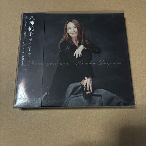 八神純子 / There you are