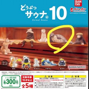 どうぶつサウナ10 アザラシ 新品未使用 完売品 ガチャガチャ ガチャポン サウナ フィギュア ガシャポン ガチャ