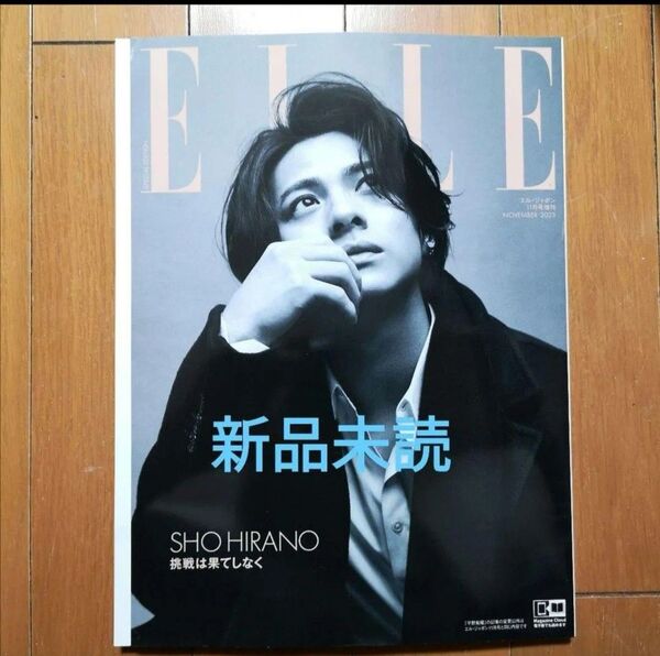 ELLE JAPON 2023.11