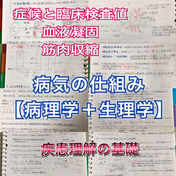 医療系学科定期試験、国家試験対策シリーズ【病理学・生理学】まとめノートセット