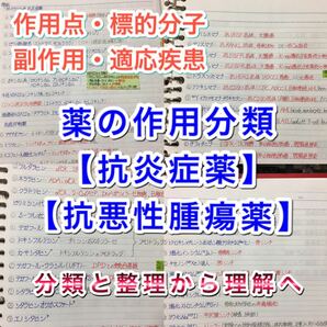 医療系学科定期試験、国家試験対策シリーズ【抗悪性腫瘍薬、抗炎症薬】まとめノート