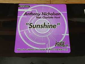 新品未開封 Nite Grooves Anthony Nicholson/Sunshine