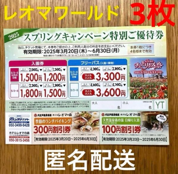 香川県 レオマワールド 特別ご優待券 割引券入園券 フリーパス 3枚 匿名配送
