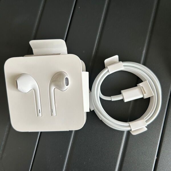 Apple純正 iPhone 付属品 ケーブル イヤホン 2点セット