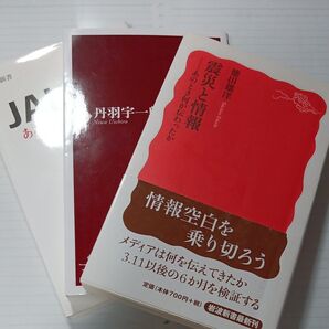 新書 お買い得 3冊セット 震災と情報 中国の大問題 JAL崩壊 岩波新書