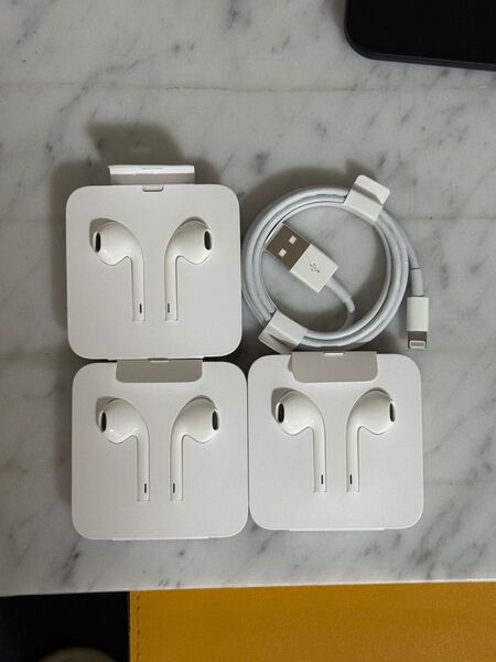 純正 Apple 有線イヤホン Lightning イヤホン3個セット USBケーブル1個 アップル
