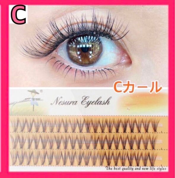 まつげエクステ マツエク まつげ Cカール 10mm