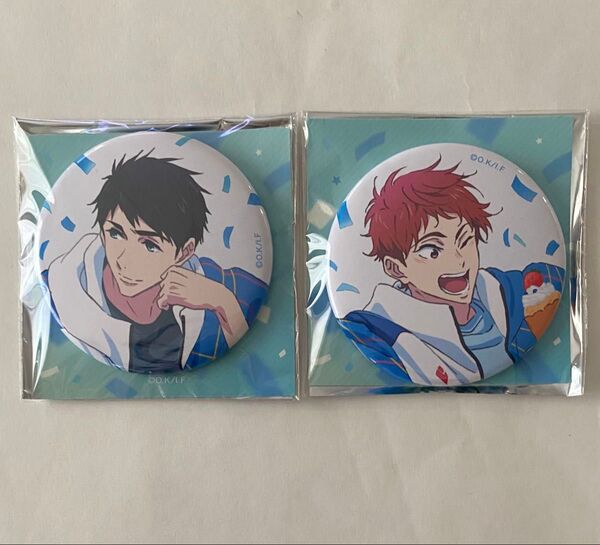 Free! the Final Stroke Celebration 缶バッジ 宗介、旭