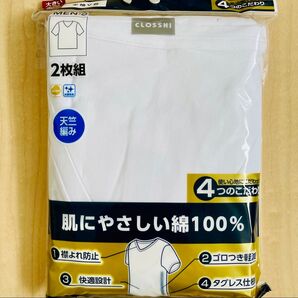 半袖V首シャツ 5Lサイズ メンズ 肌に優しい綿100% 2枚組 ホワイト シンプル インナー 送料込み