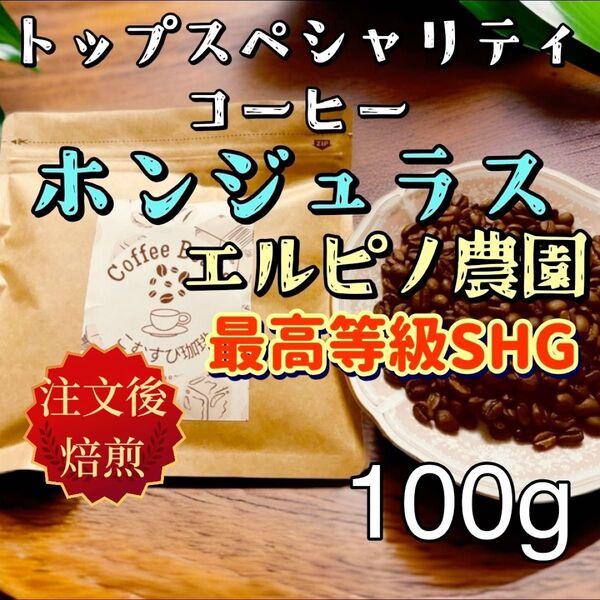 自家焙煎コーヒー豆 ホンジュラス エル・ピノ農園 最高規格SHG 中煎り100g