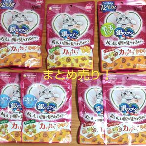 銀のスプーン 猫 カリカリおやつ シーフード、毛玉、低カロリーなど 計740g 賞味期限は年内のため、まとめ売り!