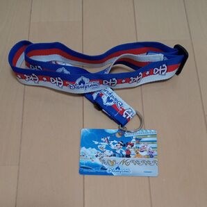 ディズニー チケットホルダー