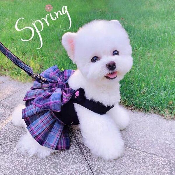 犬服 フリルワンピ ハーネスリード 可愛い