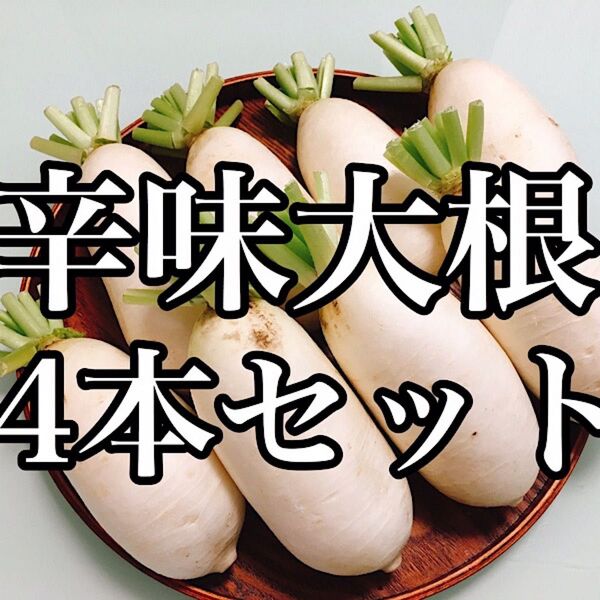 そば、うどんの薬味に!群馬県産 上州辛味大根4本セット 送料無料